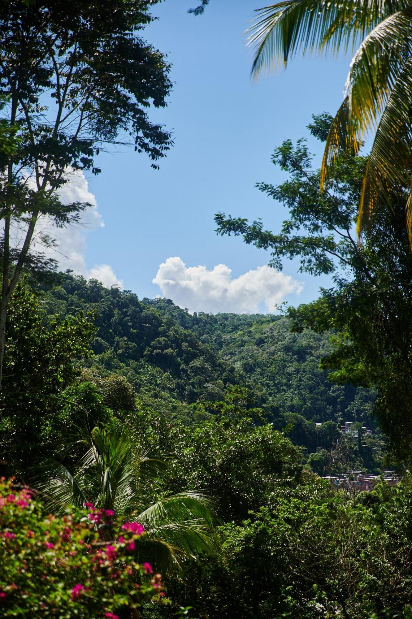 Fundo San Jose Parque Ecologico & Lodge Hotel Asociado Casa Andina La Merced  Zewnętrze zdjęcie