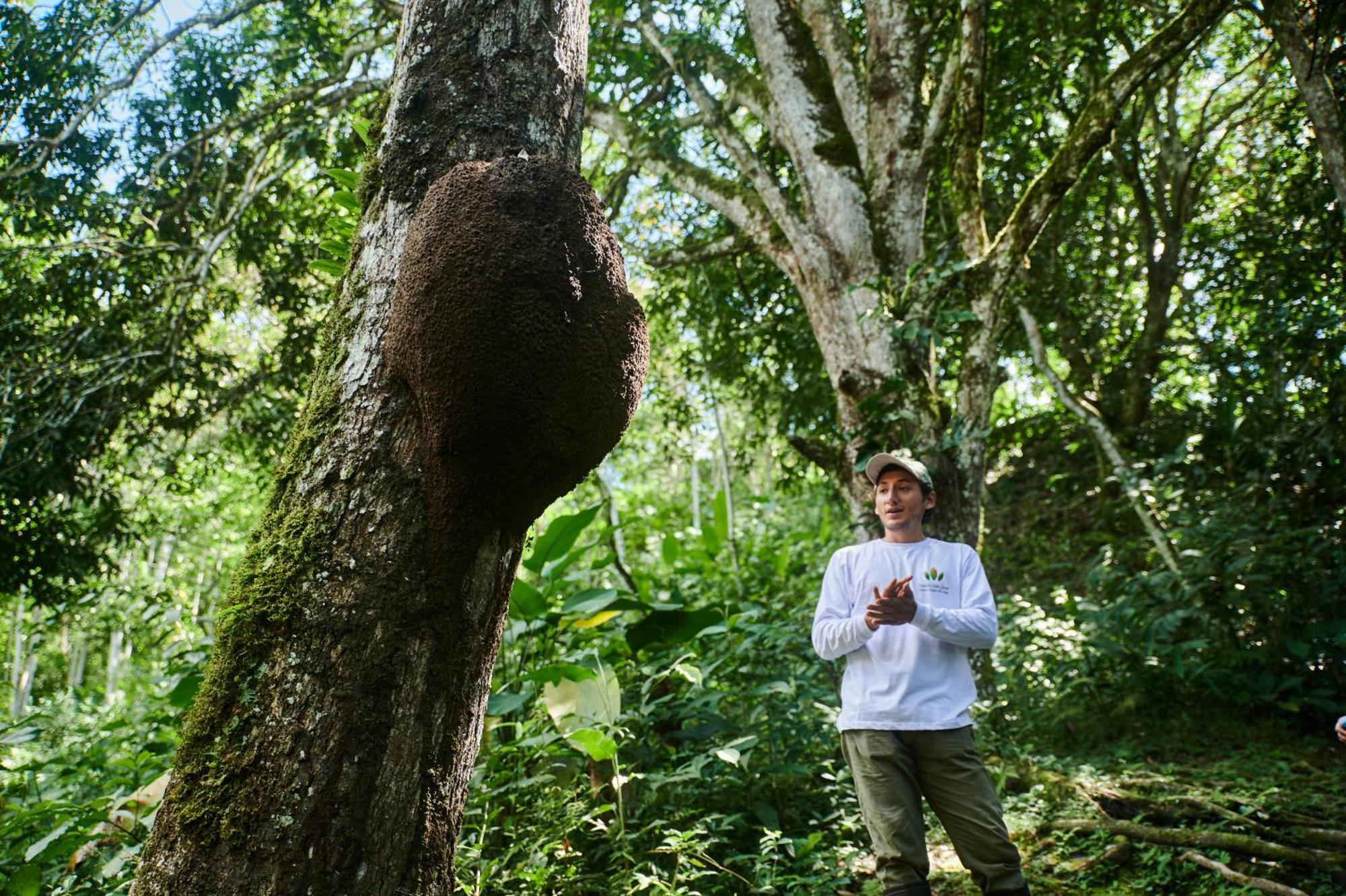 Fundo San Jose Parque Ecologico & Lodge Hotel Asociado Casa Andina La Merced  Zewnętrze zdjęcie