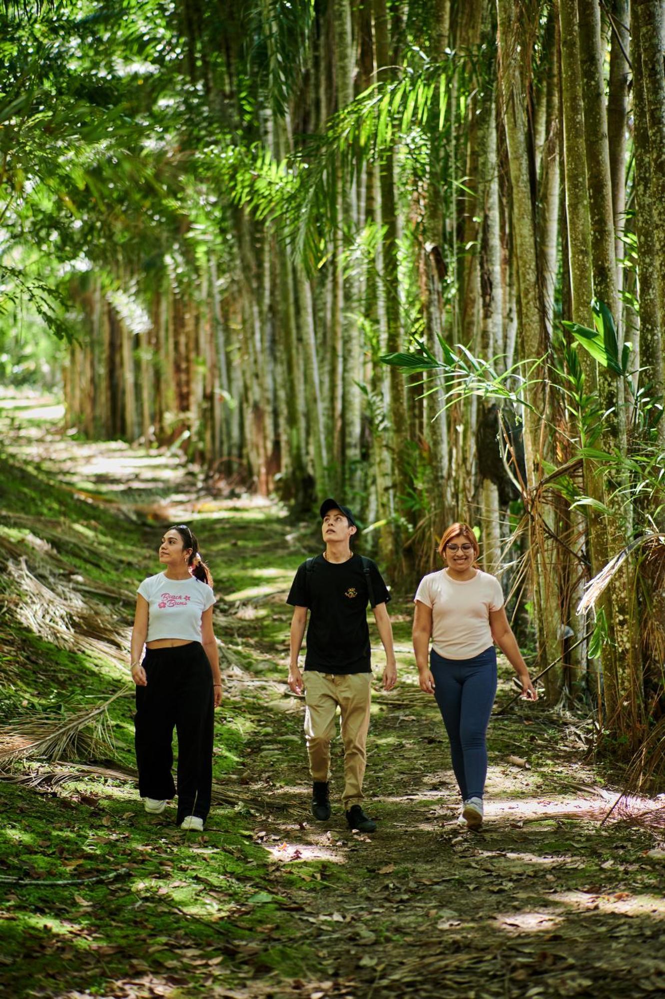 Fundo San Jose Parque Ecologico & Lodge Hotel Asociado Casa Andina La Merced  Zewnętrze zdjęcie